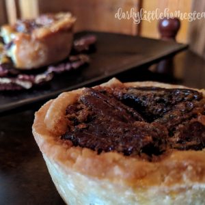 Butter Tarts