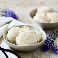 Dairy Free Vanilla Ice Cream